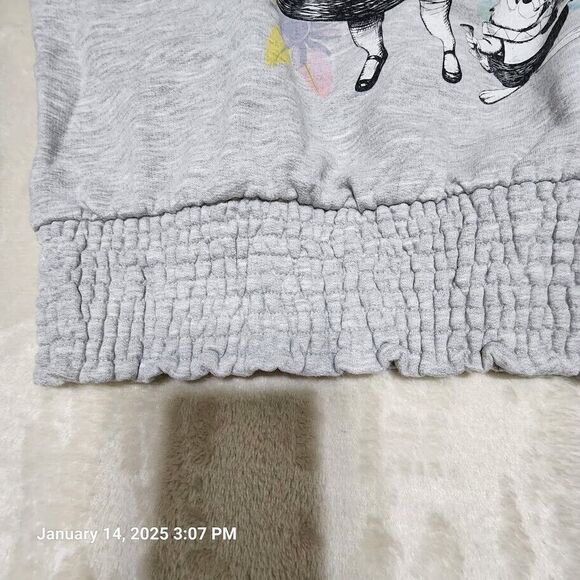 Alice In Wonderland Sweatshirt Size M Gray Pull Over Long Sleeves Graphic Disney - Picture 2 of 8